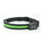 Fluorescent dog collar